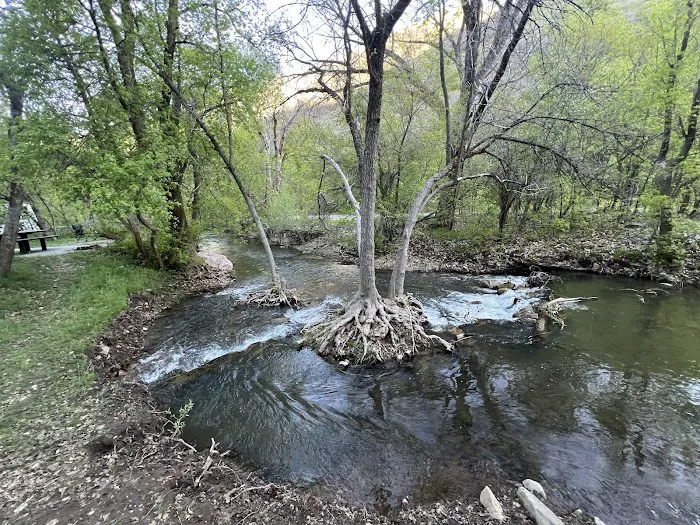 Cherry Campground 6