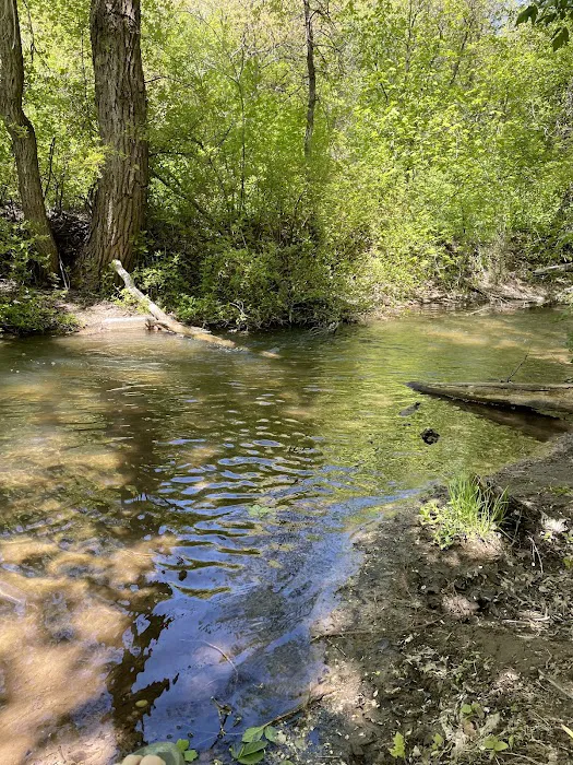 Cherry Campground 4