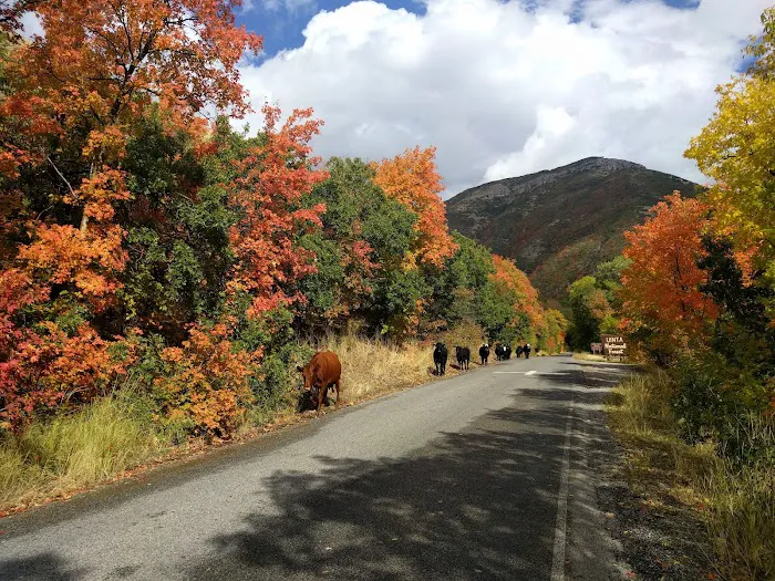 Cherry Campground 3