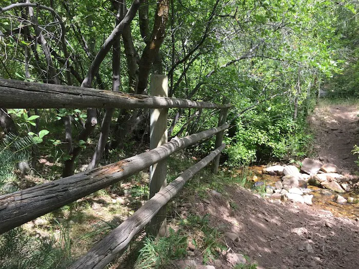 Cherry Campground 8