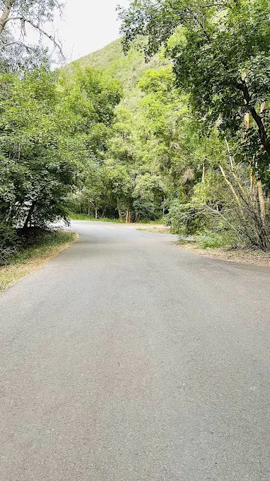 Cherry Campground 9