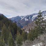 Mutual Dell Campsite