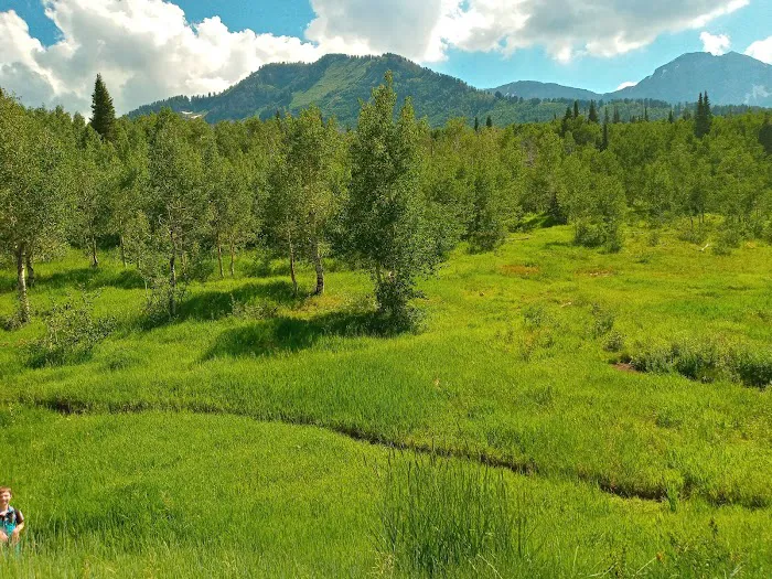 Mount Timpanogos Campground 5