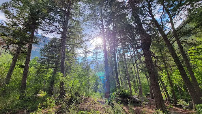 Mount Timpanogos Campground 8