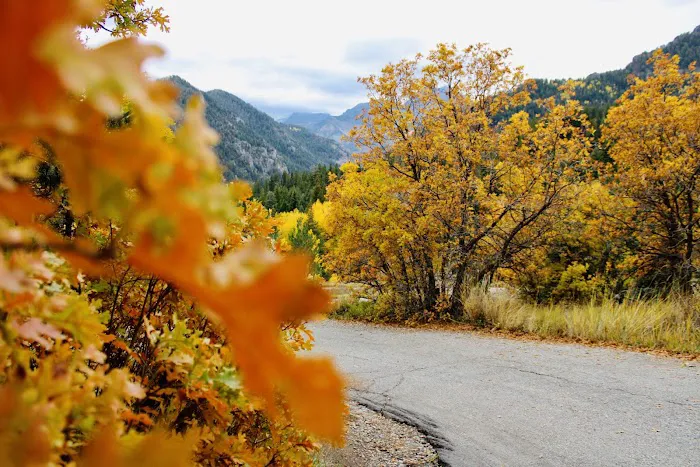 Mount Timpanogos Campground 7