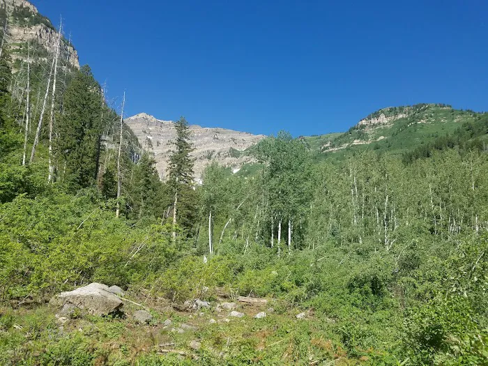 Theater-in-the-Pines Group Campground 2