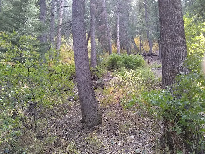 Theater-in-the-Pines Group Campground 5