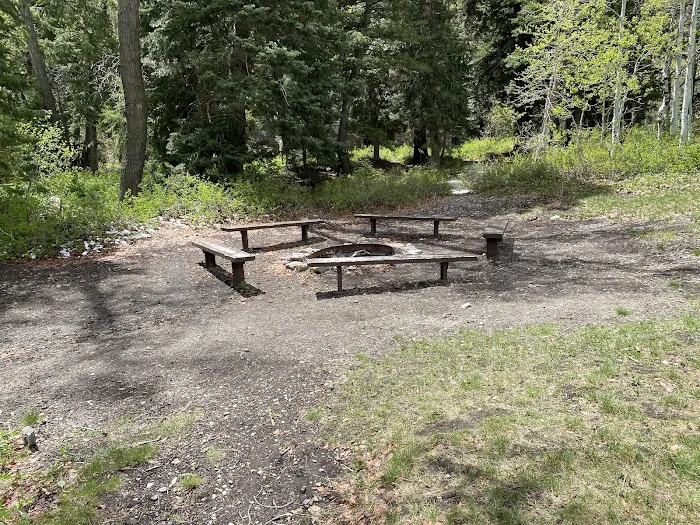 Theater-in-the-Pines Group Campground 8