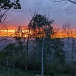 Aspen Meadows Recreation Camp