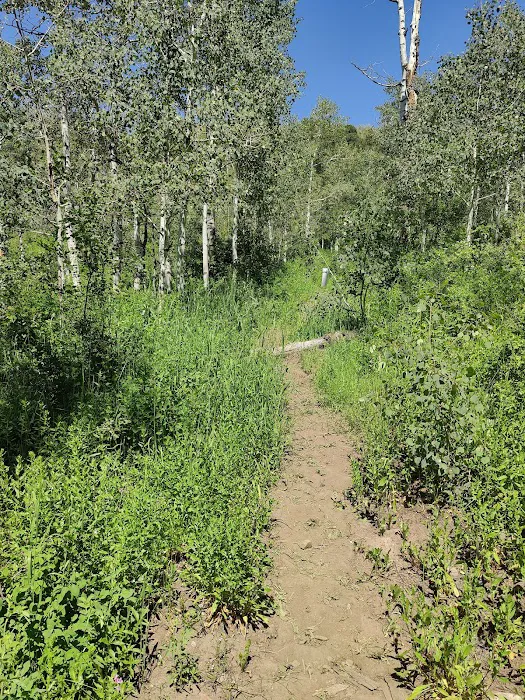 Aspen Meadows Recreation Camp 9