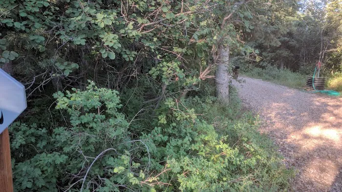 Millcreek Pines Recreation Camp 7