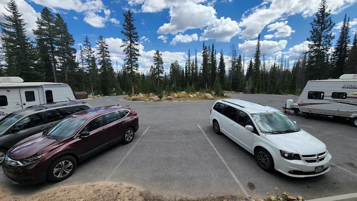 Washington Lake Group Campsites 4