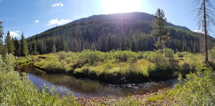 Sulphur Campground 1