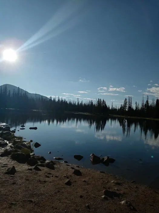 Sulphur Campground 6