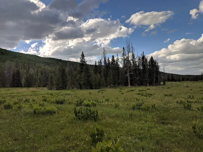 Sulphur Campground 5