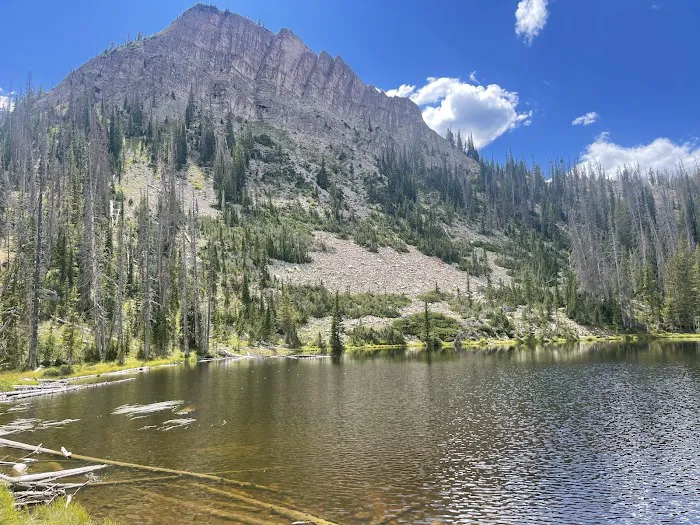 Sulphur Campground 4