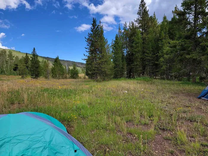 Sulphur Campground 9