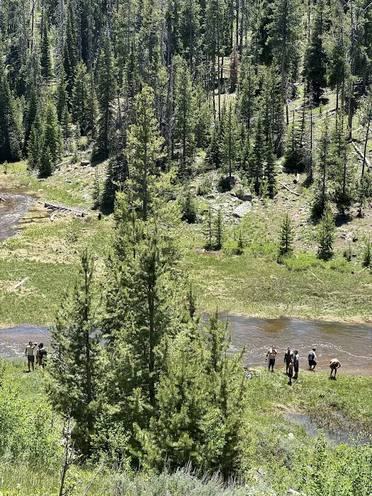 Zions Peak Recreation Camp 2