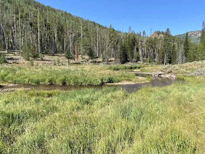 Zions Peak Recreation Camp 5