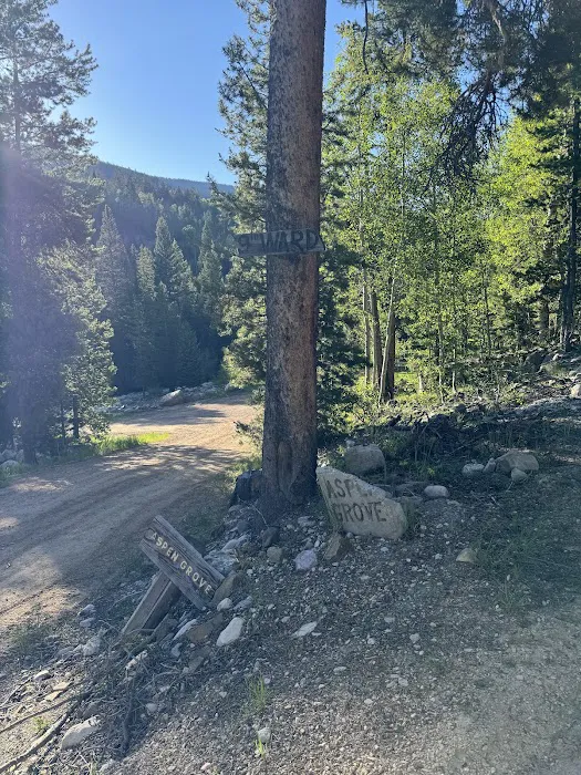 Zions Peak Recreation Camp 4