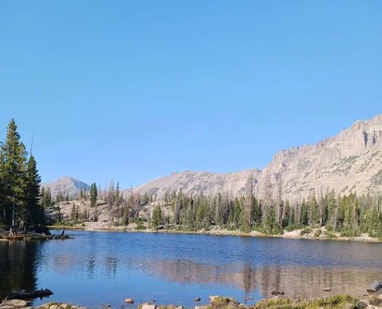 Beaver View Campground