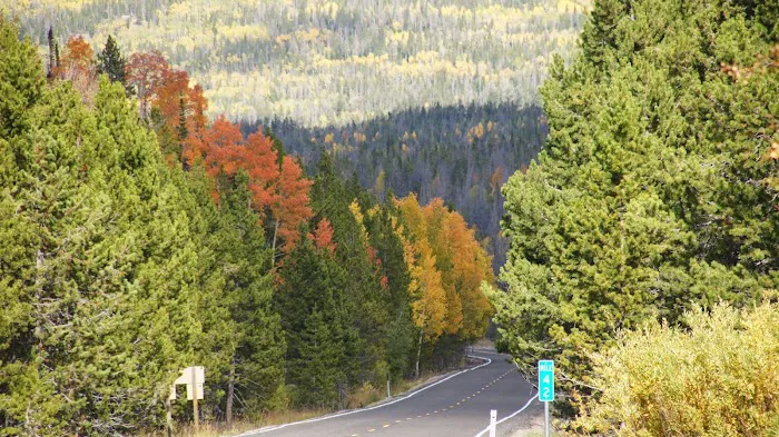 Beaver View Campground 4