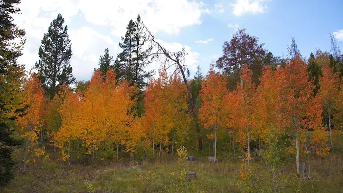 Beaver View Campground 8