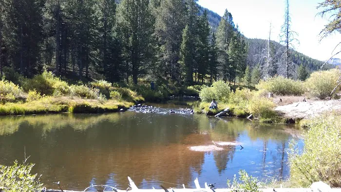 Hayden Fork Campground 4