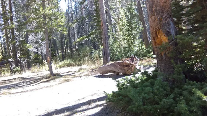 Hayden Fork Campground 6