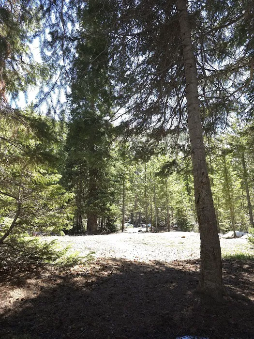 Cobblerest Campground 3