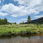 Christmas Meadows Campground