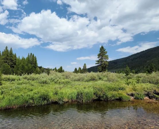 Christmas Meadows Campground