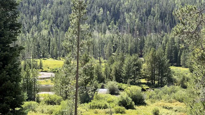 Christmas Meadows Campground 1