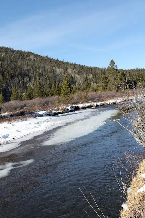 Christmas Meadows Campground 8