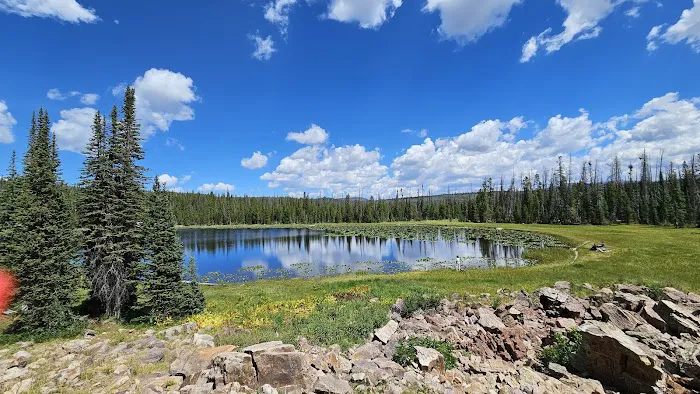 Soapstone Basin Camping 0