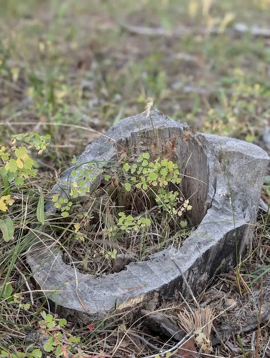 Soapstone Basin Camping 4