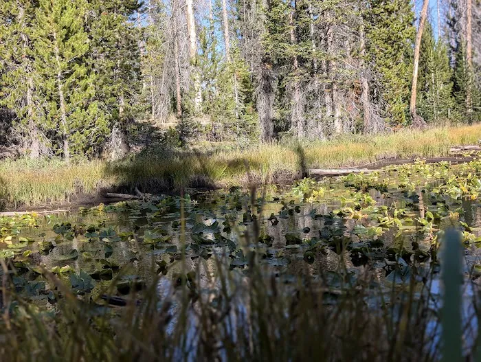 Soapstone Basin Camping 9