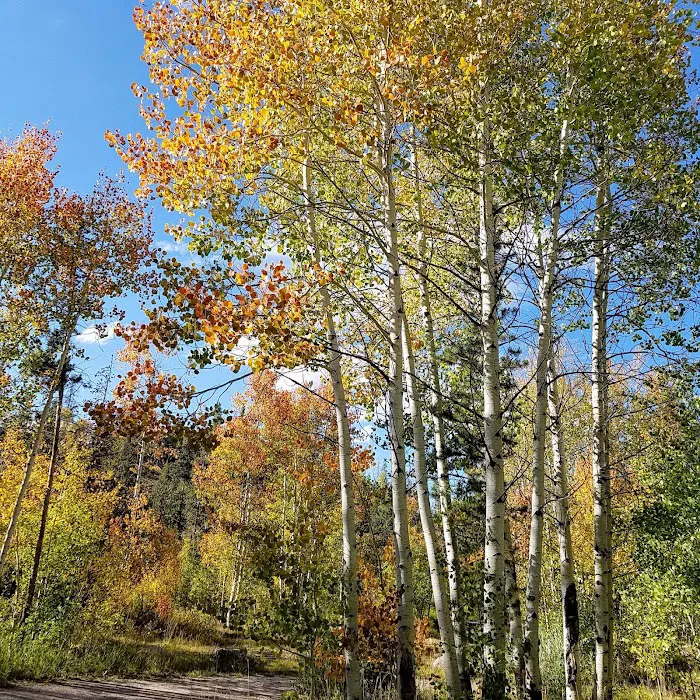 Bear River Campground 2