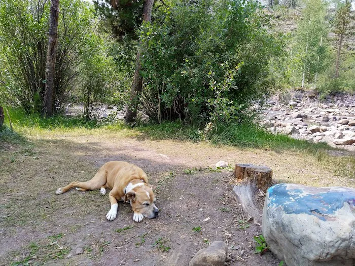 Bear River Campground 3
