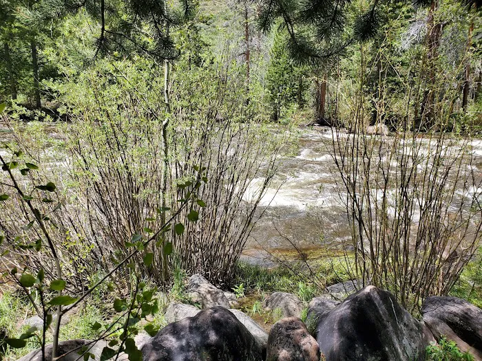 Bear River Campground 6