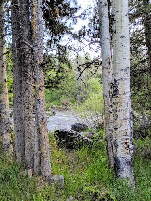 Bear River Campground 4