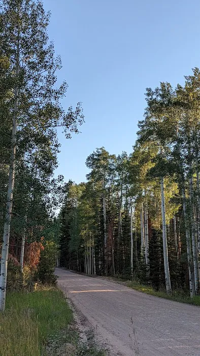 Carter Creek USAF Camp 9