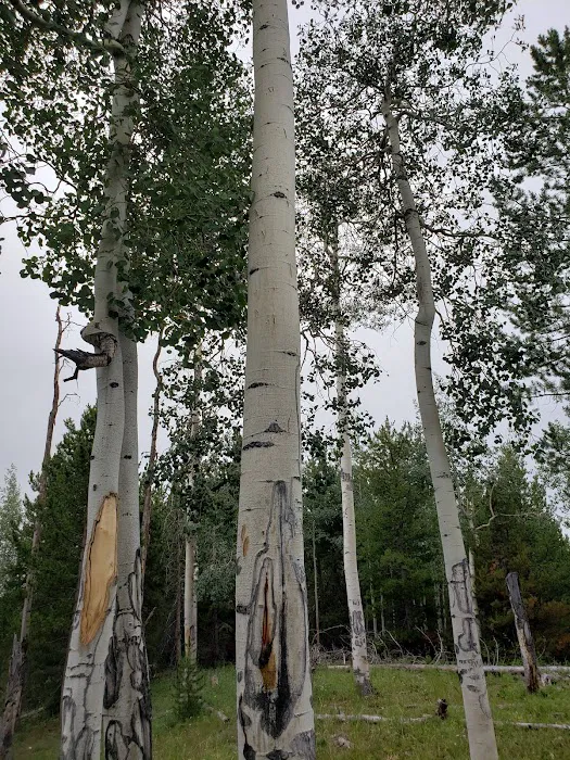 Stillwater Campground 5