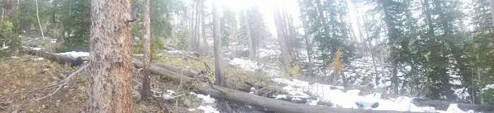 East Fork Scout Camp 8