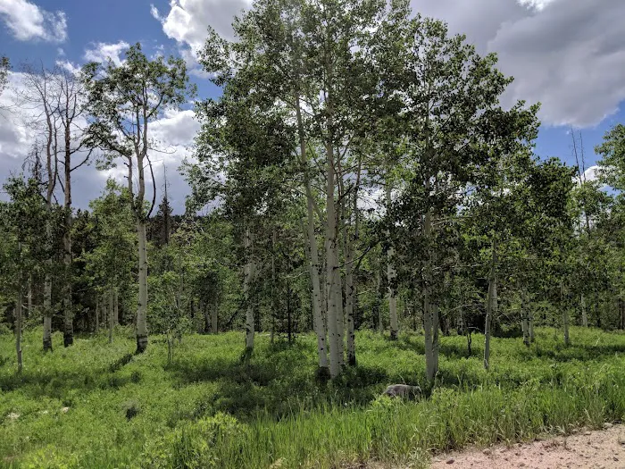 Hinckley Scout Ranch 2