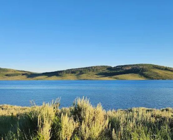 Strawberry Bay Campground Loop E