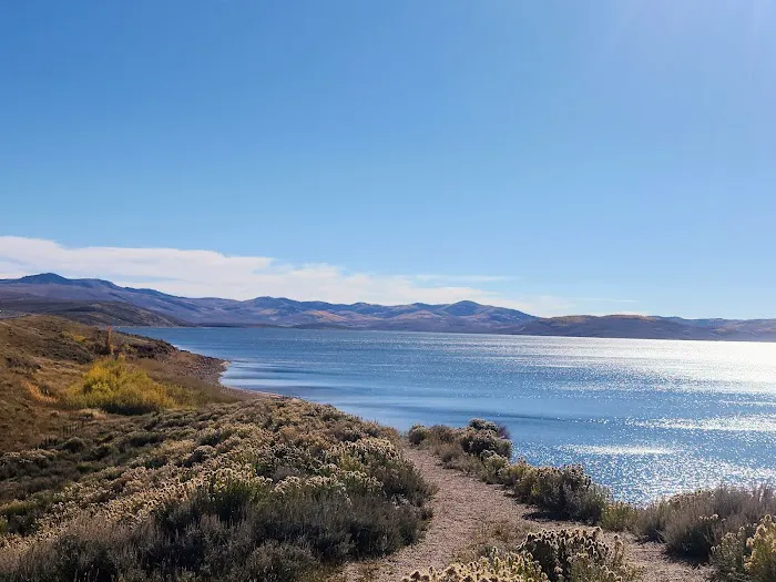 Strawberry Bay Campground Loop E 1