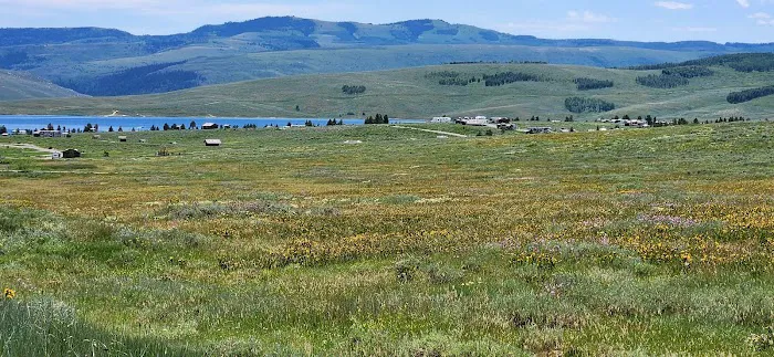 Strawberry Bay Campground Loop E 6