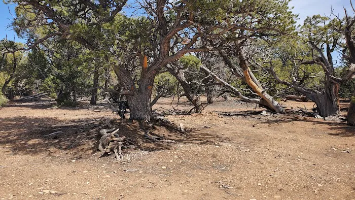 SKS Ranch 2