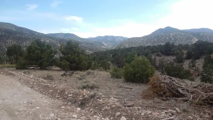wRight wRanch 4